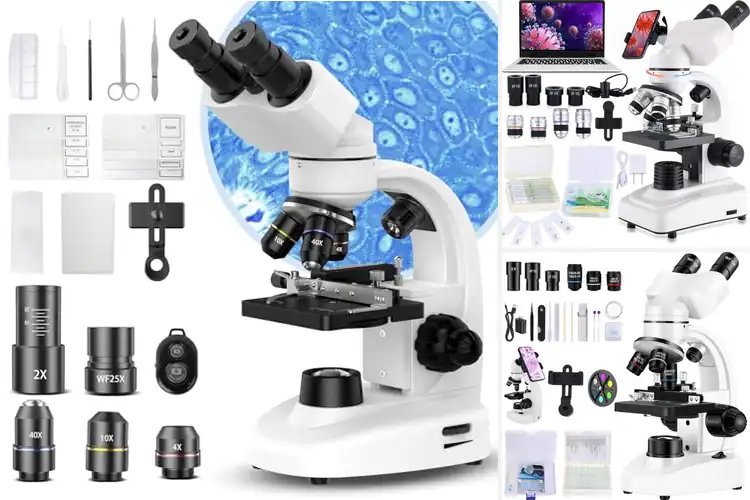 Detailed view of Best Binocular Microscopes For Adults