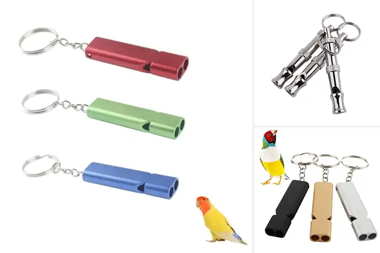 Detailed view of Best Bird Training Whistles