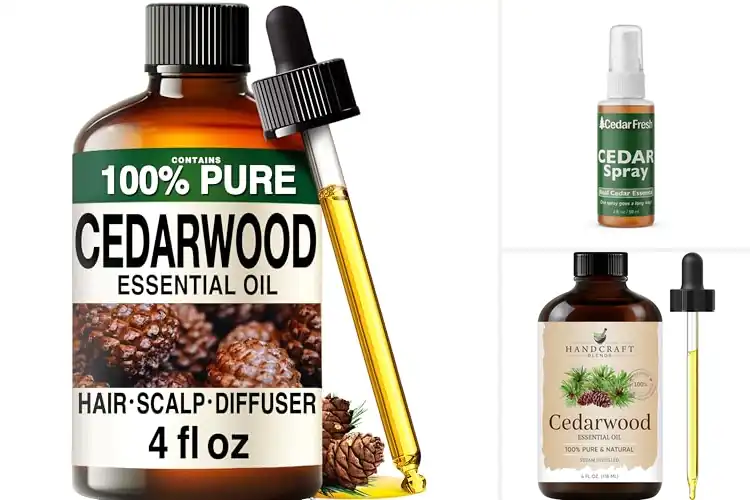 Detailed view of Best Cedar Aromas: Refresh Your Home With Calm Wood Scents