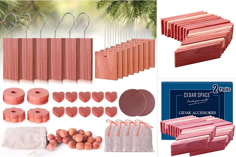 Detailed view of Best Cedar Blocks For Clothes