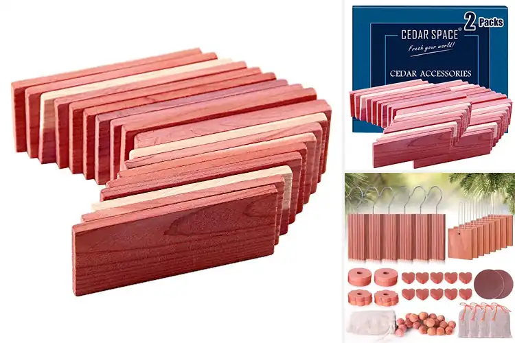 Detailed view of Best Cedar Blocks for Storage