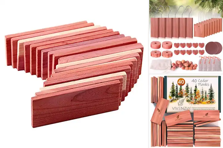 Detailed view of Best Cedar Blocks: Top 10 Picks for Fresh Closets