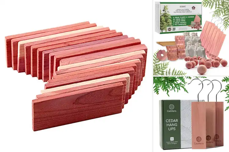 Detailed view of Best Cedar Clothing Protectors