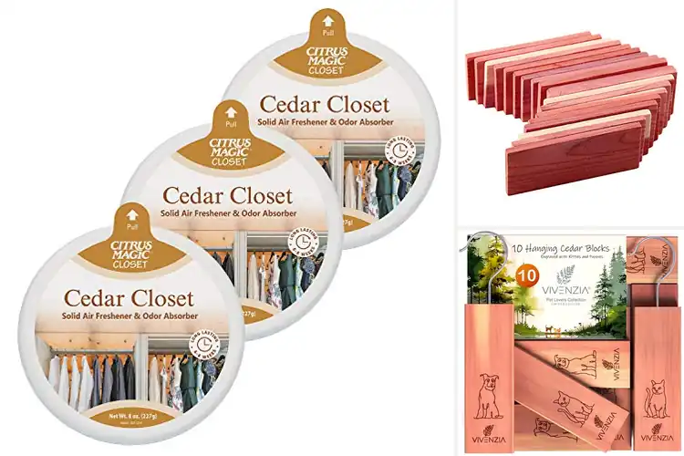 Detailed view of Best Cedar Fresheners