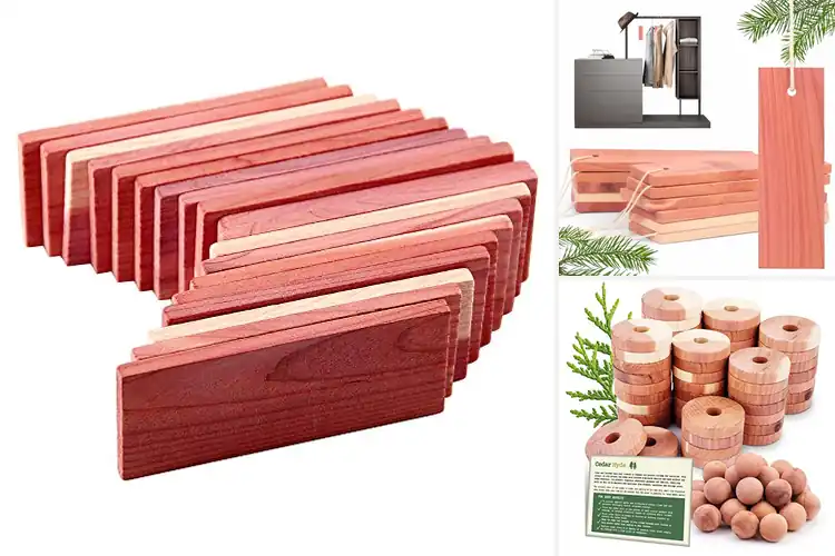 Detailed view of Best Cedar Protectors