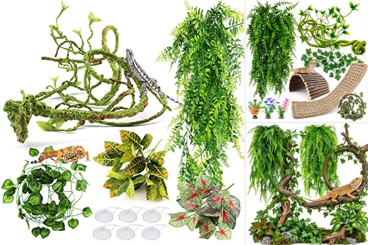 Detailed view of Best Chameleon Tank Plants: Create a Vibrant, Natural Home