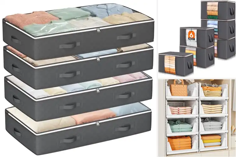 Detailed view of Best Clothes Storage Solutions