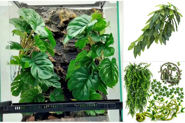 Detailed view of Best Crested Gecko Tank Plants for a Lush, Safe Habitat