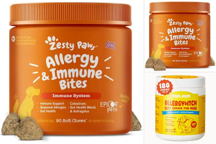 Detailed view of Best Dog Immune System Chews: Boost Immunity & Health