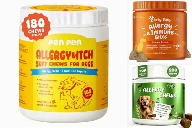 Detailed view of Best Dog Itch Relief Chews: Fast Soothing Care