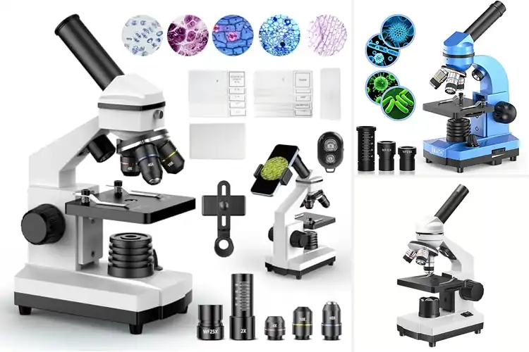 Detailed view of Best Educational Microscopes For Students
