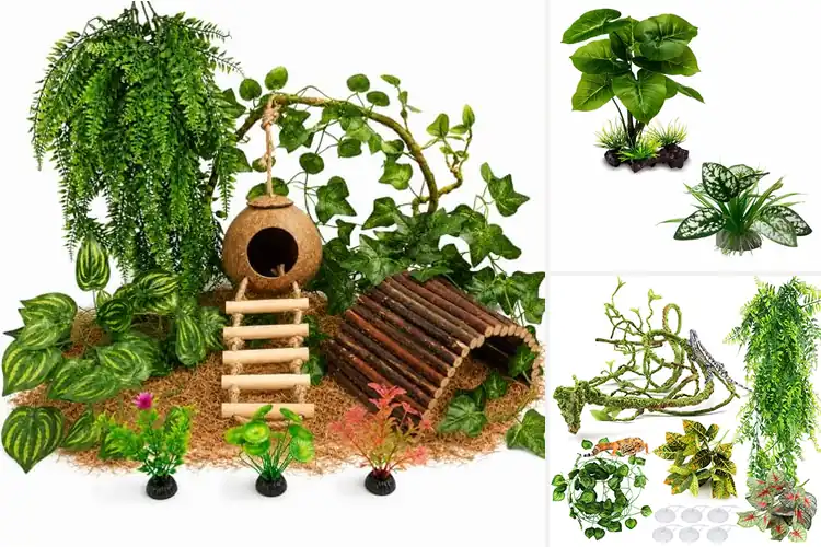 Detailed view of Best Leopard Gecko Habitat Plants: Safe, Vibrant Greenery
