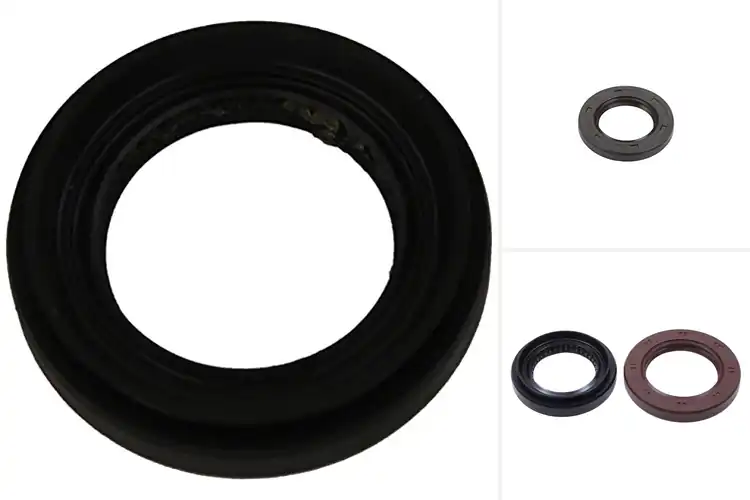 Detailed view of Best Manual Transmission Seals