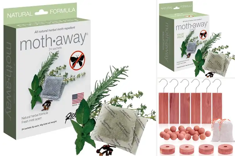 Detailed view of Best Natural Moth Repellents: 10 Safe & Fresh Solutions