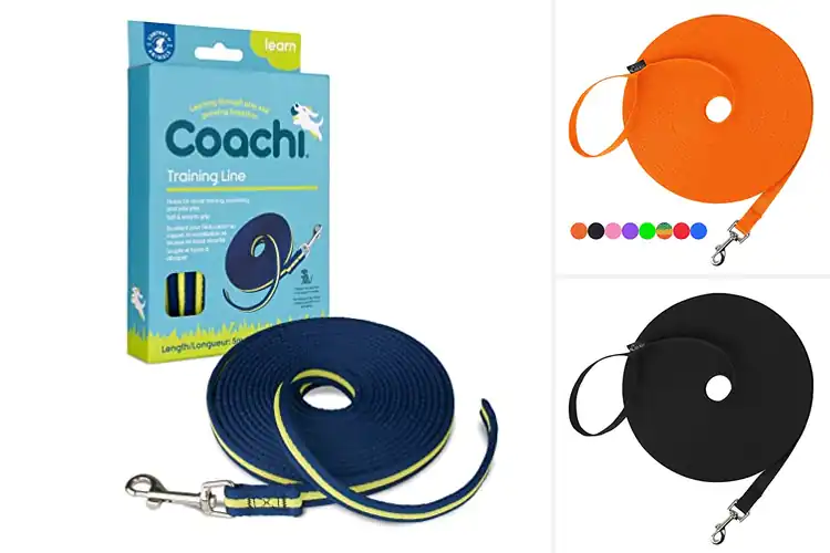 Detailed view of Best Outdoor Training Lines