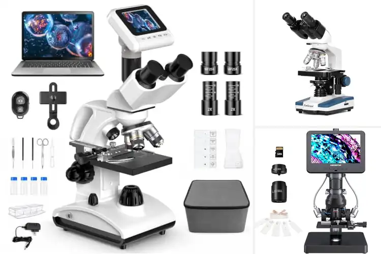 Detailed view of Best Professional Biological Microscopes