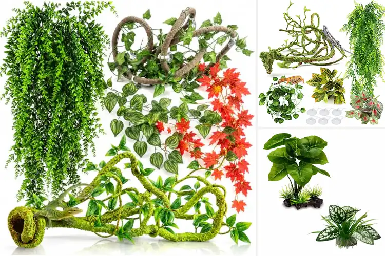 Detailed view of Best Snake Cage Plants: Top 10 Picks for a Lush Habitat