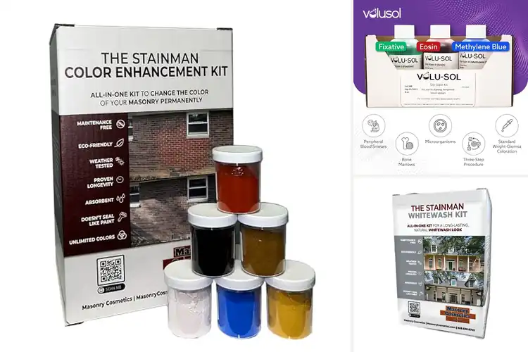 Detailed view of Best Staining Kits