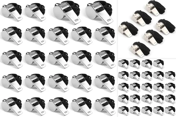 Detailed view of Best Stainless Steel Whistles