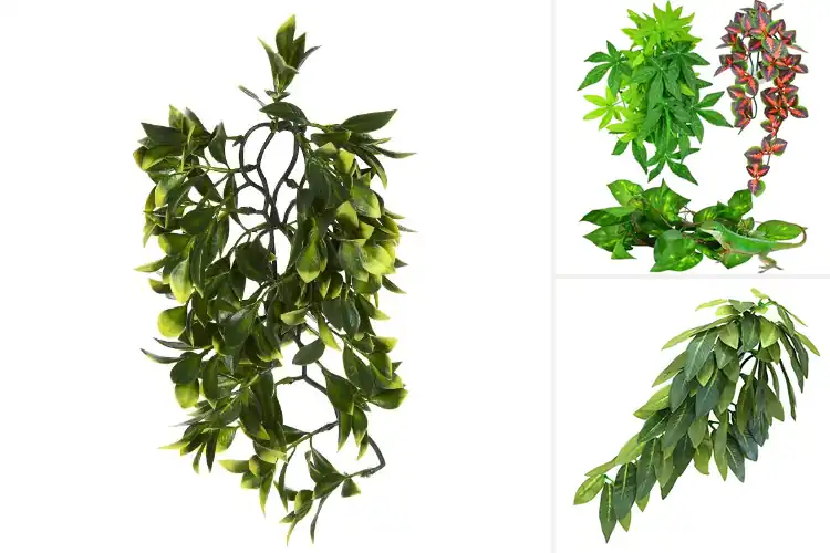 Detailed view of Best Terrarium Hanging Plants: Safe & Lifelike Pet Decor